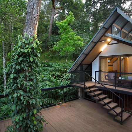Bamboo Dale Resort, Munnar Dış mekan fotoğraf