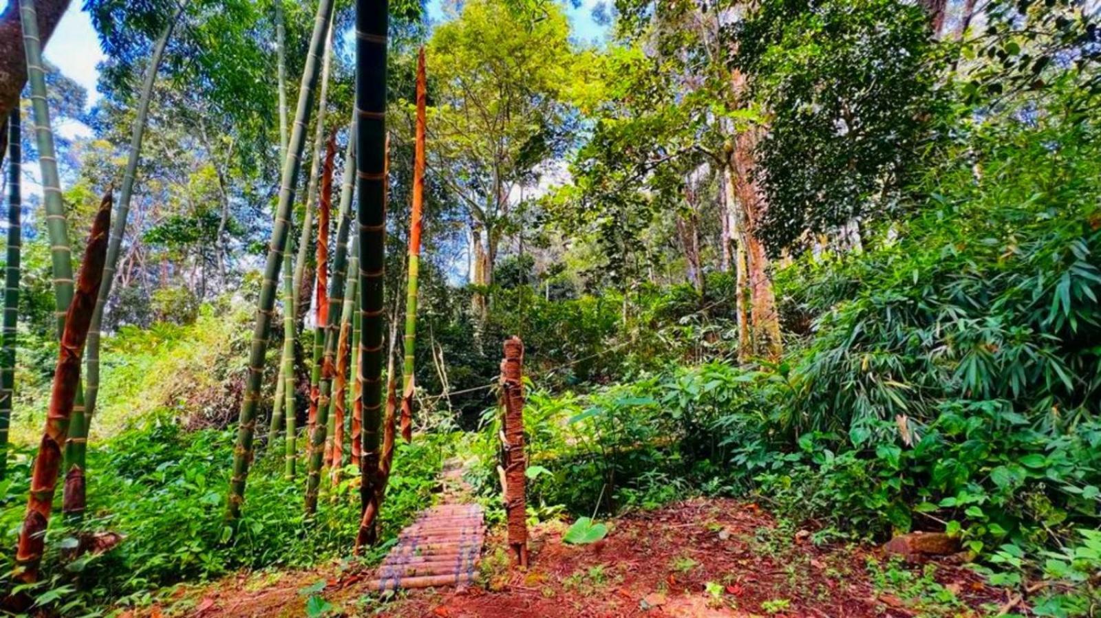 Bamboo Dale Resort, Munnar Dış mekan fotoğraf