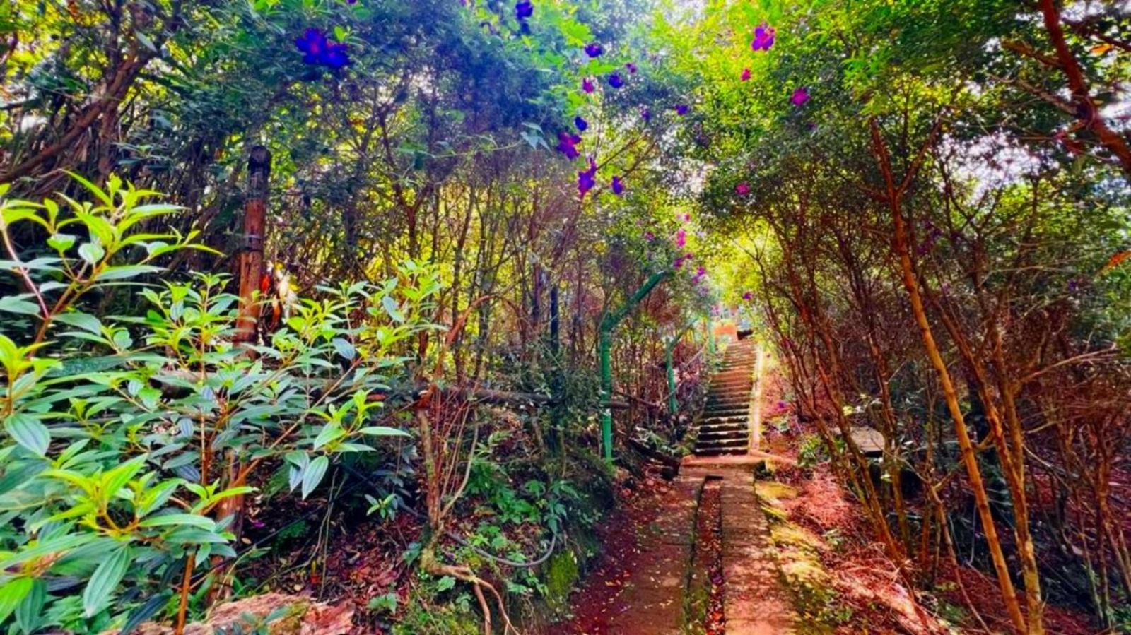 Bamboo Dale Resort, Munnar Dış mekan fotoğraf