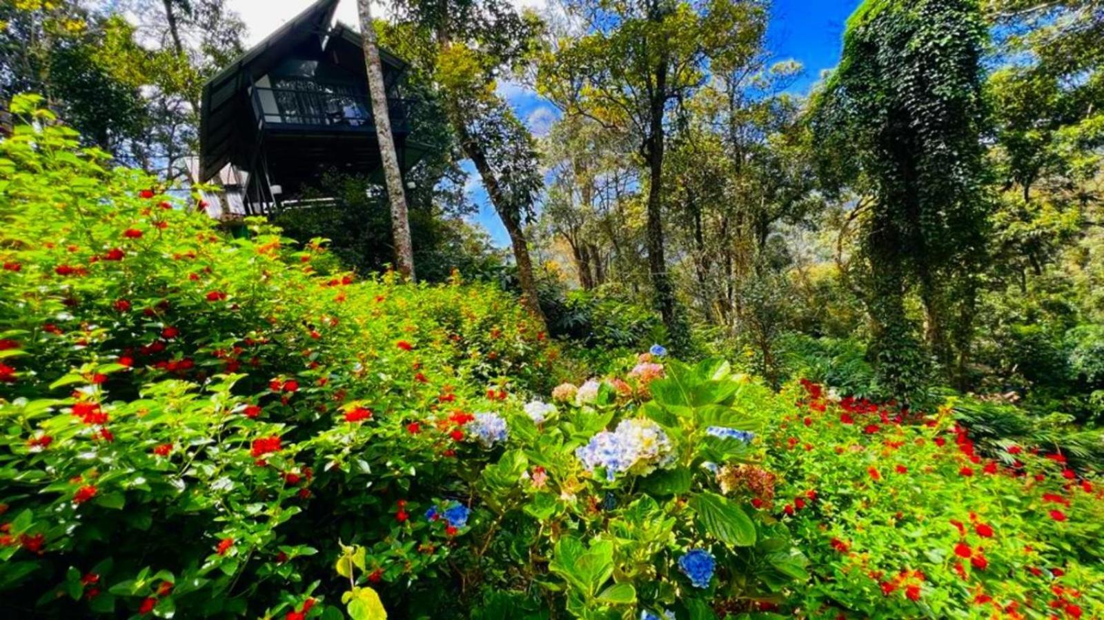 Bamboo Dale Resort, Munnar Dış mekan fotoğraf