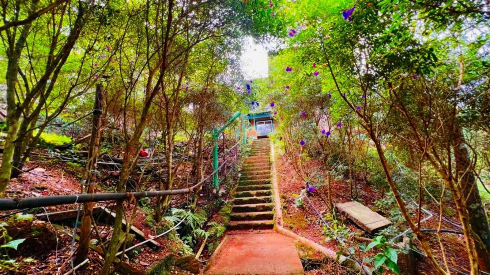 Bamboo Dale Resort, Munnar Dış mekan fotoğraf