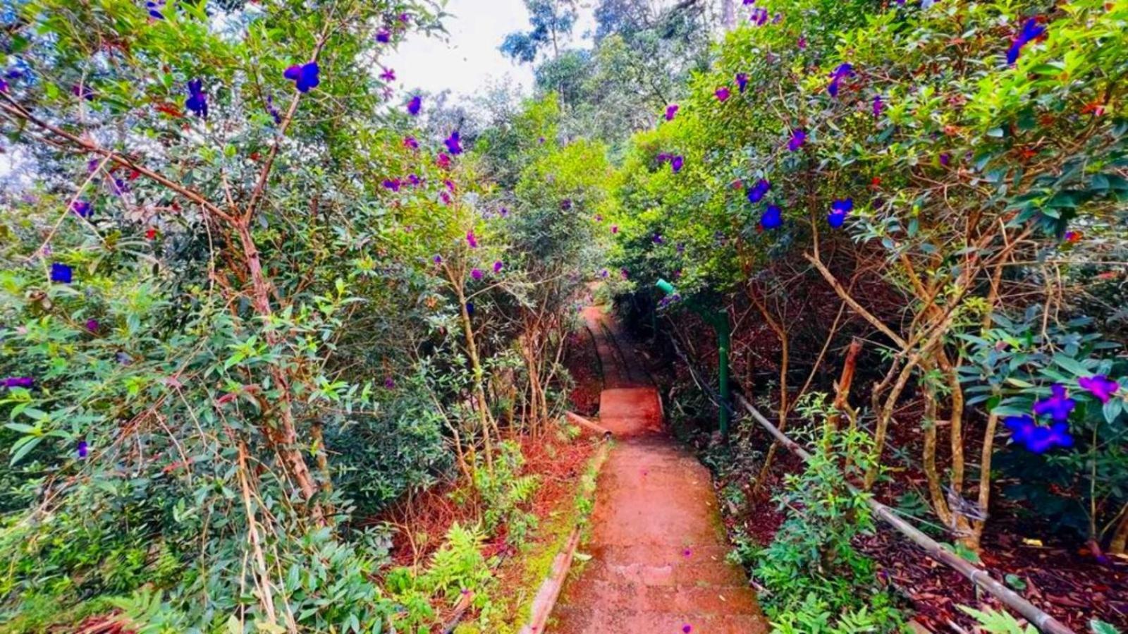 Bamboo Dale Resort, Munnar Dış mekan fotoğraf