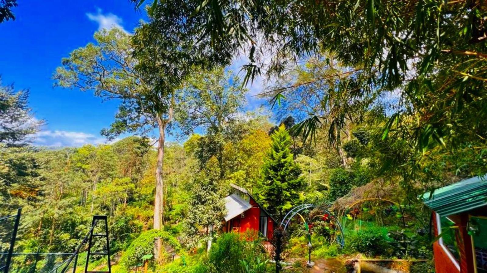 Bamboo Dale Resort, Munnar Dış mekan fotoğraf