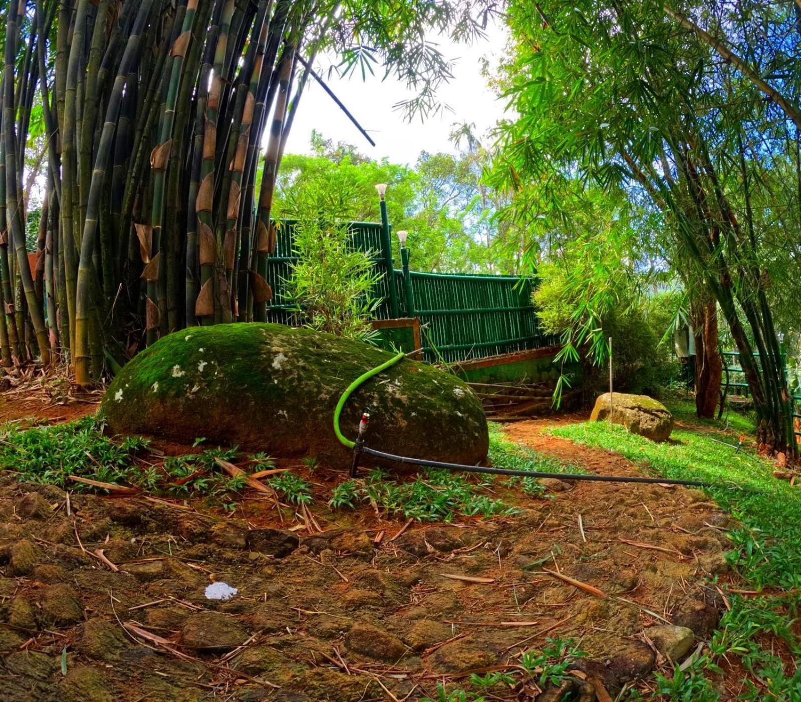 Bamboo Dale Resort, Munnar Dış mekan fotoğraf