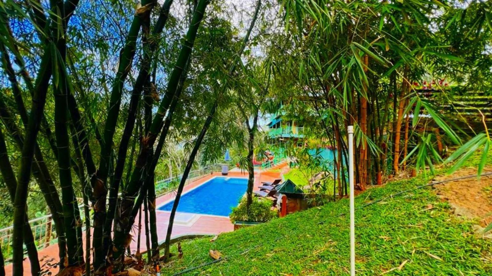 Bamboo Dale Resort, Munnar Dış mekan fotoğraf