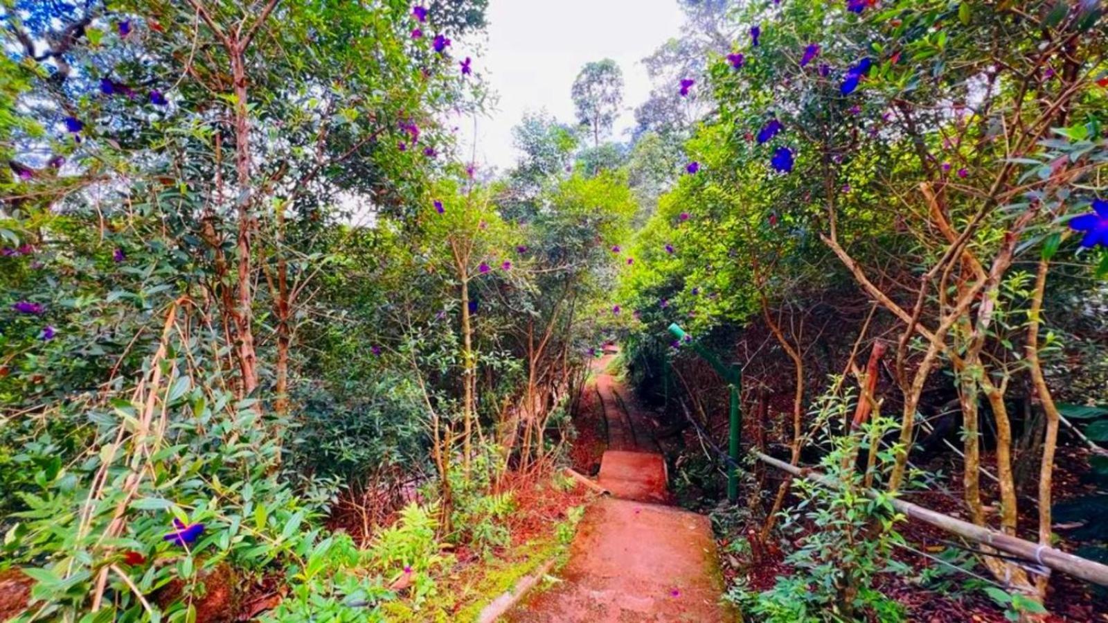 Bamboo Dale Resort, Munnar Dış mekan fotoğraf