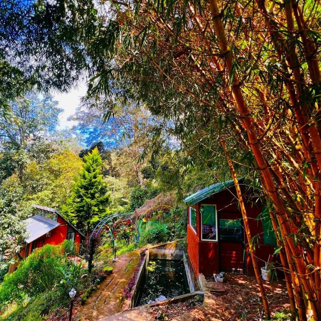 Bamboo Dale Resort, Munnar Dış mekan fotoğraf