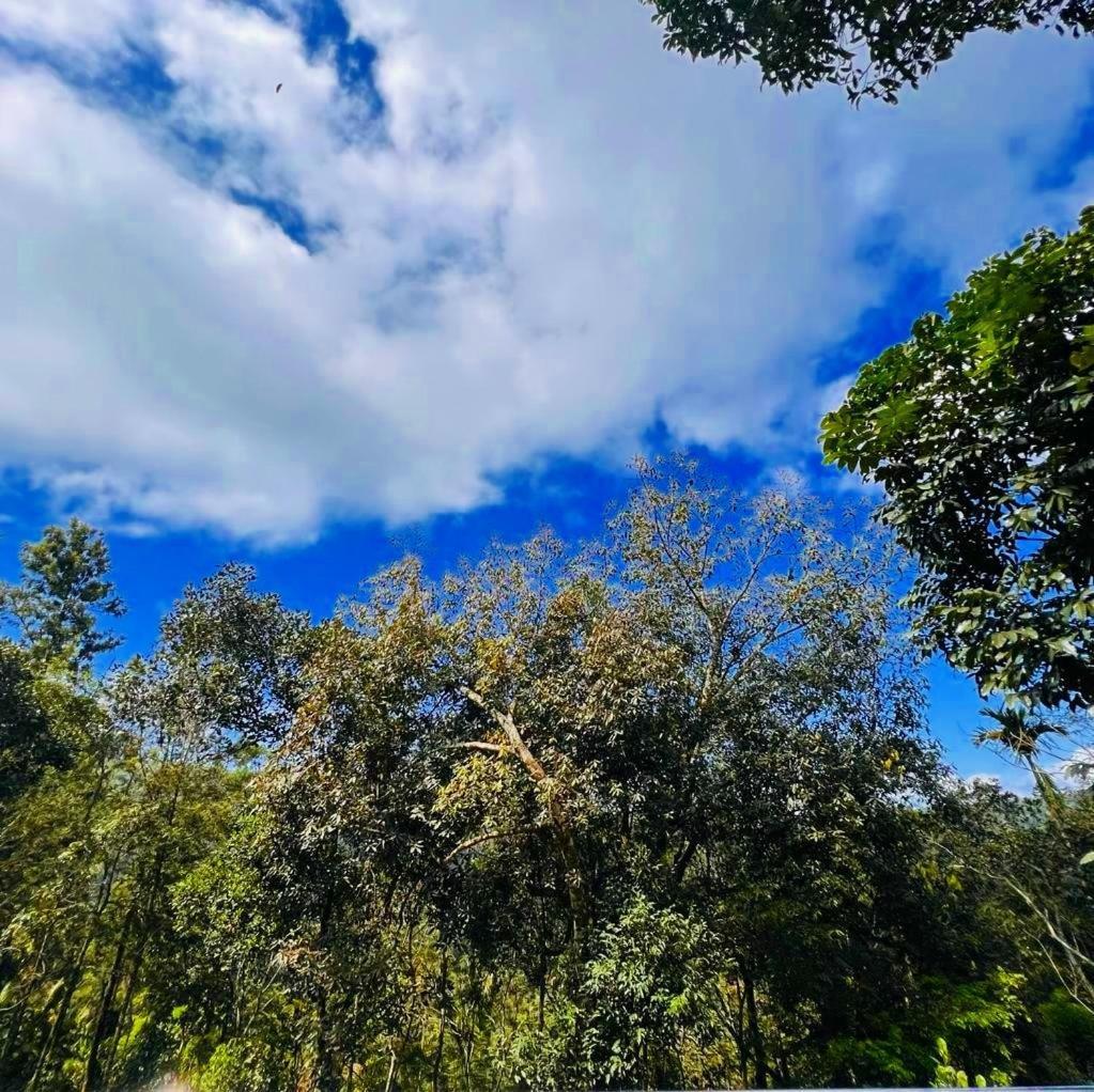 Bamboo Dale Resort, Munnar Dış mekan fotoğraf