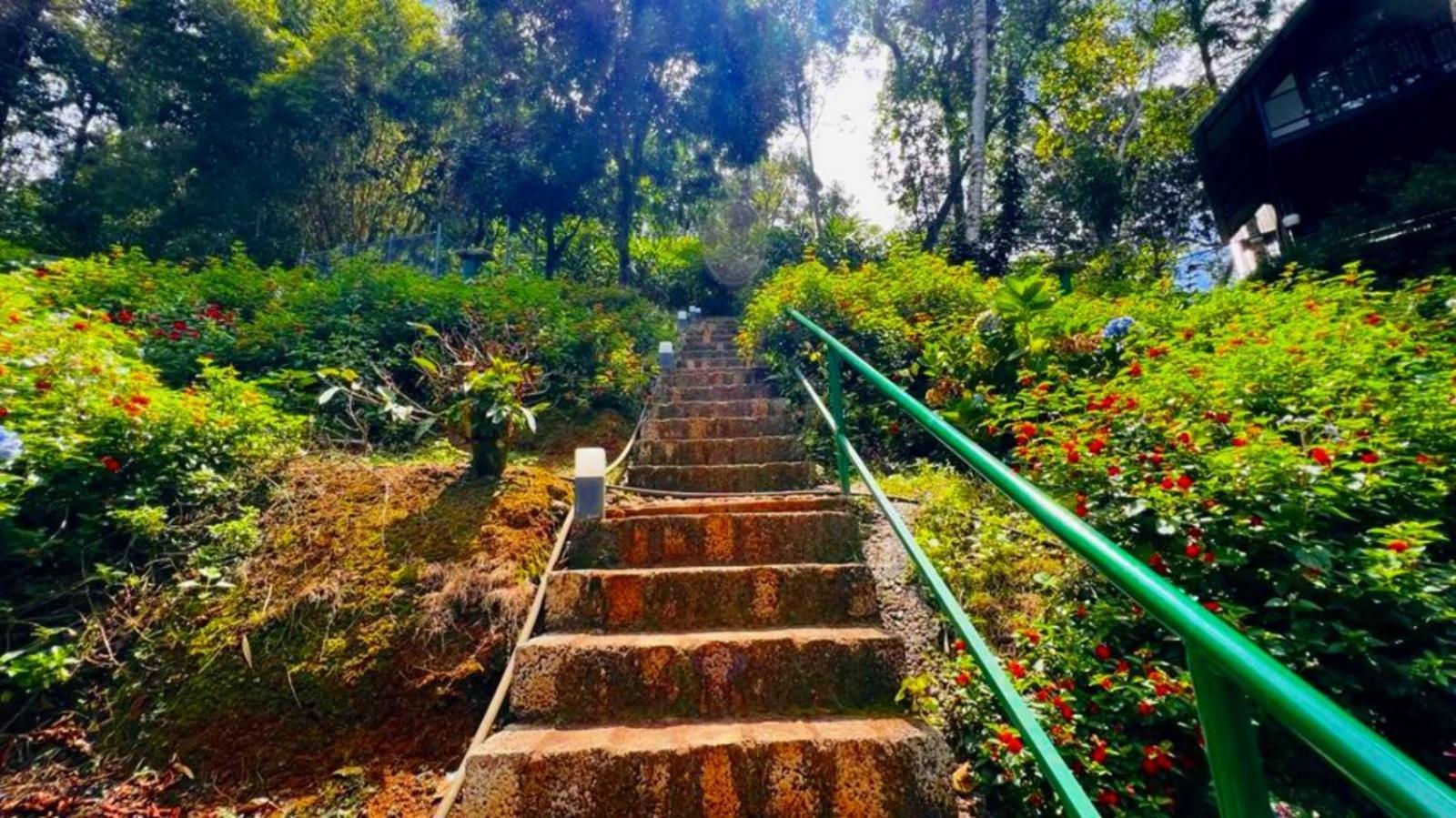 Bamboo Dale Resort, Munnar Dış mekan fotoğraf