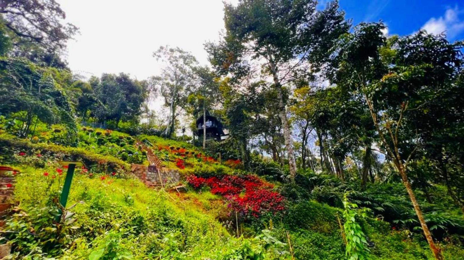 Bamboo Dale Resort, Munnar Dış mekan fotoğraf