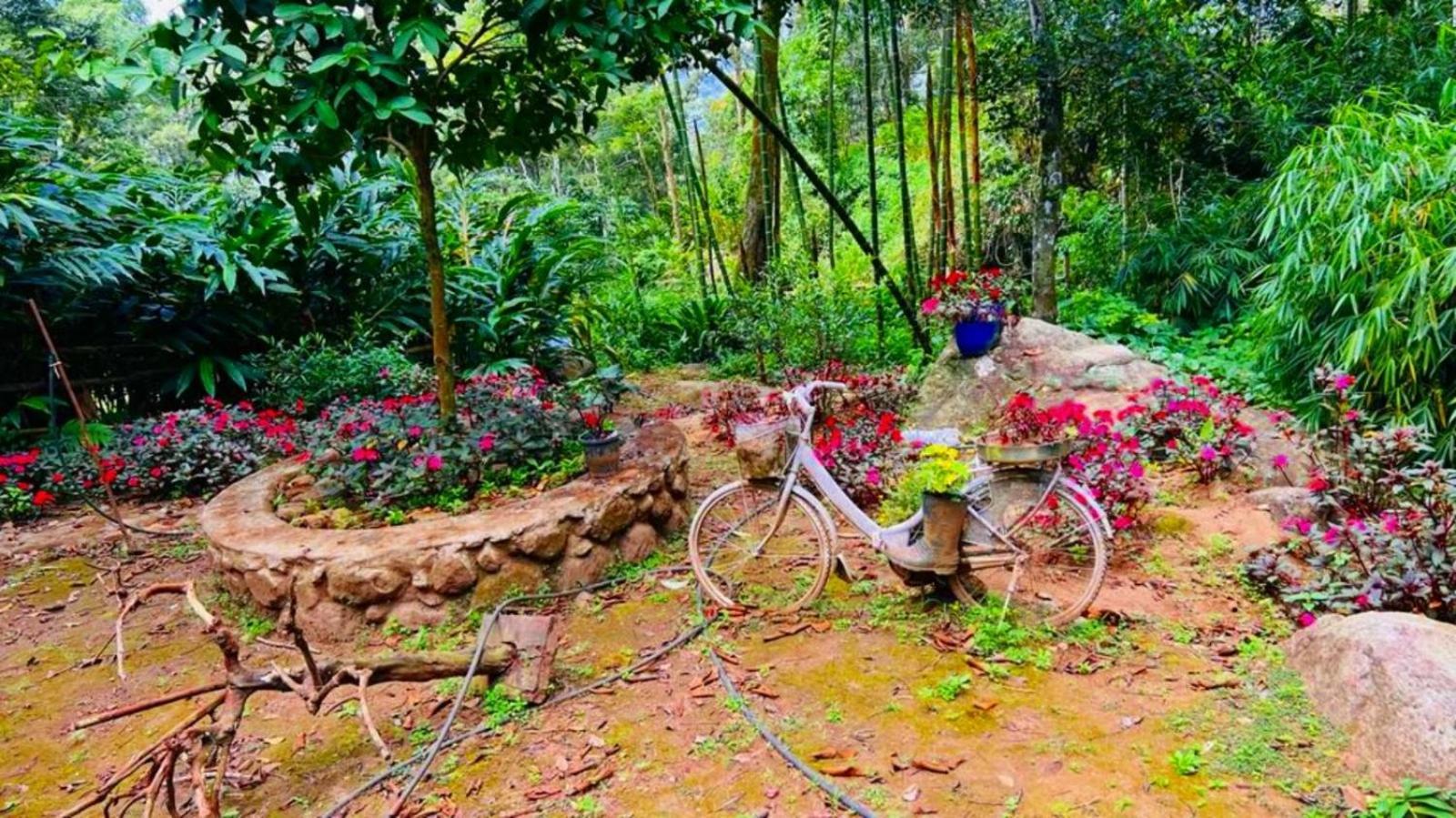 Bamboo Dale Resort, Munnar Dış mekan fotoğraf