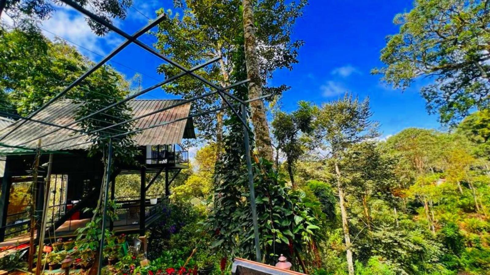 Bamboo Dale Resort, Munnar Dış mekan fotoğraf