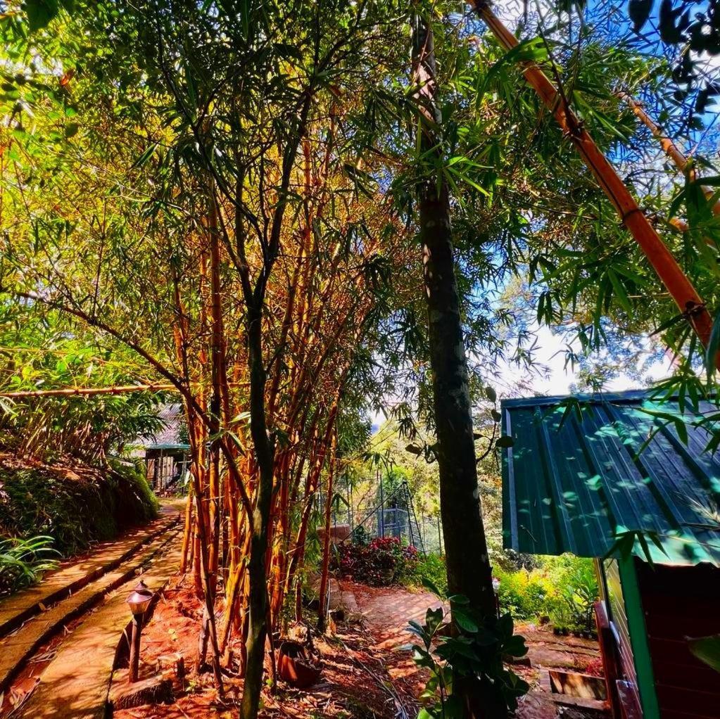 Bamboo Dale Resort, Munnar Dış mekan fotoğraf