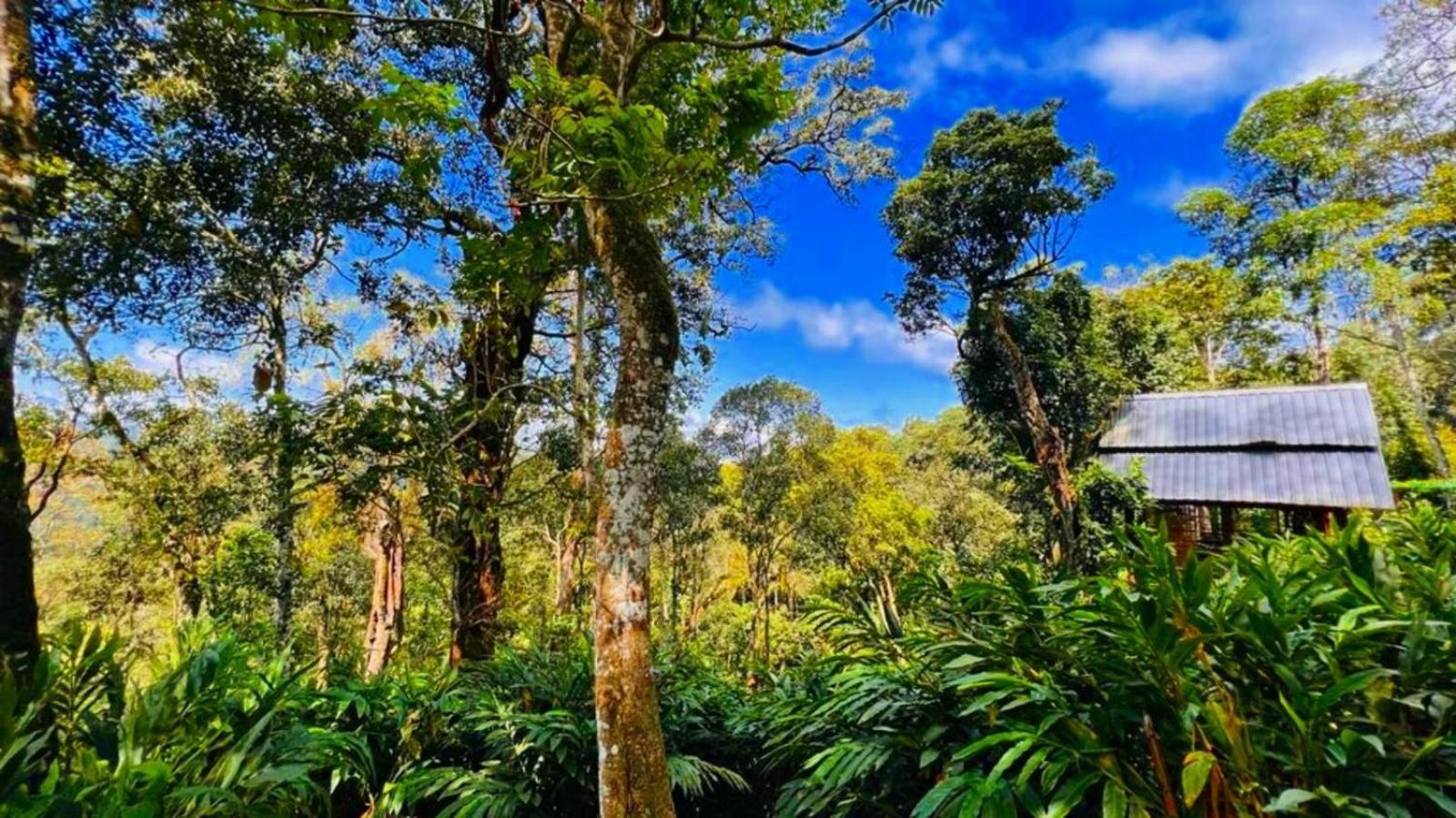 Bamboo Dale Resort, Munnar Dış mekan fotoğraf