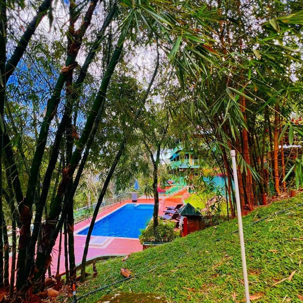 Bamboo Dale Resort, Munnar Dış mekan fotoğraf