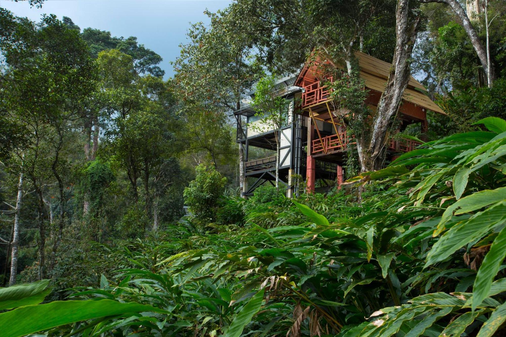 Bamboo Dale Resort, Munnar Dış mekan fotoğraf