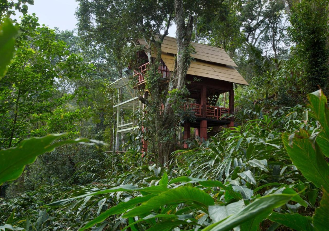 Bamboo Dale Resort, Munnar Dış mekan fotoğraf